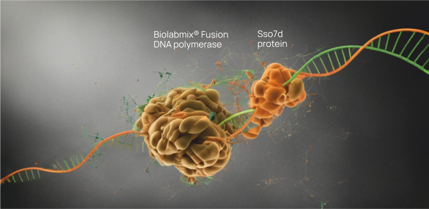 Fusion high-fidelity DNA polymerases