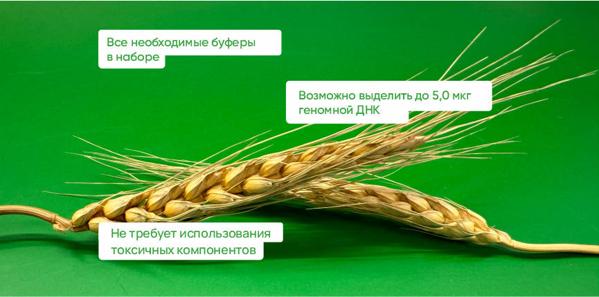 MagPlants Набор для выделения ДНК  из растительного сырья  на магнитных частицах.