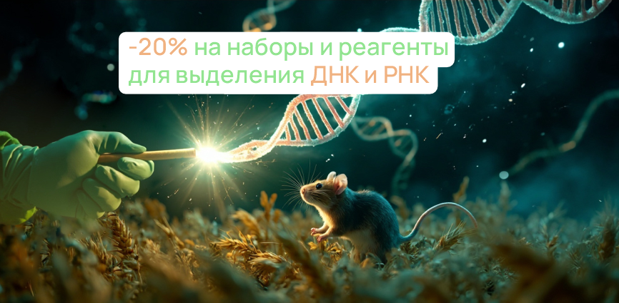 Пора запасаться реагентами на зиму