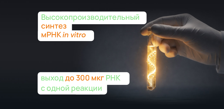 Новый набор для синтеза мРНК <span style="font-style: italic;">in vitro</i> High-mRNA-20