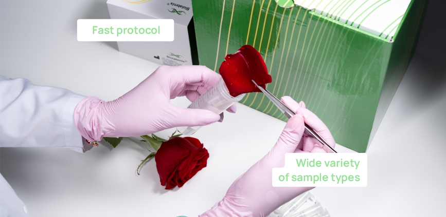 Extraction and purification of DNA and RNA from plants. <br>D-Plants <br>and R-Plants kits