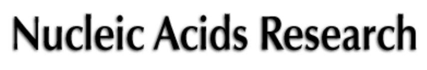 The p48 isoform of the PA2G4/EBP1/ITAF45 oncoprotein is required for the encephalomyocarditis virus IRES-driven translation initiation (Nucleic Acids Res. 2025)