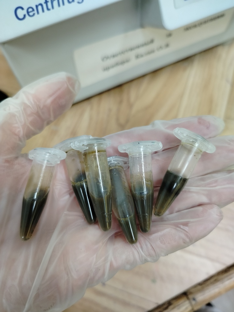 1760953330140.jpg 1760953330140.jpg