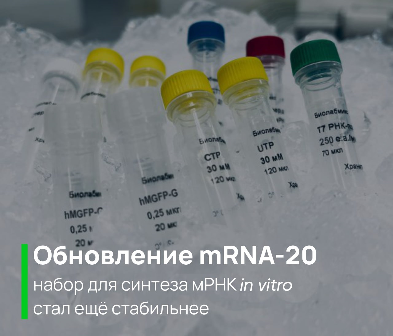 endoFree_img.jpg endoFree_img.jpg